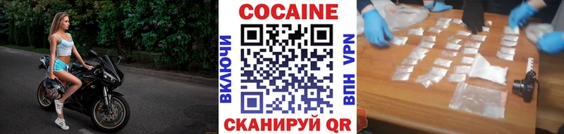 Купить закладки  Курск  COCAIN Fish Scale 