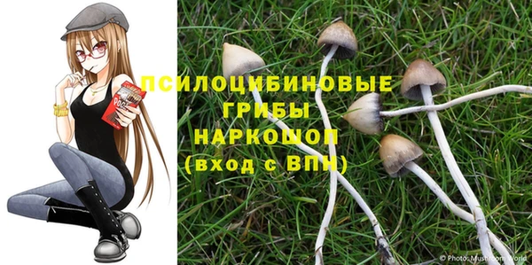 кристаллы Новозыбков