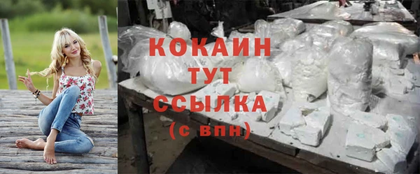 мяу мяу мука Нея