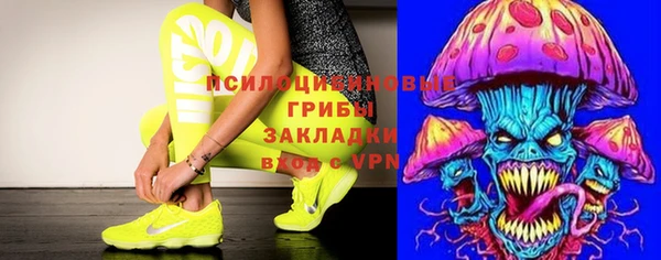 мяу мяу мука Нея